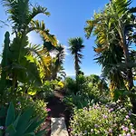 Finca Tenerife - Traumblick, Tropischer Garten, Viel Platz & Ruhe