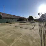 Cosy Arena
