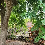 Oasis Hill Botanical Garden