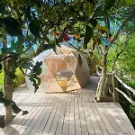 Eco-Resort Domo Maestra