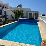 Hibisco