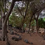 Las Sabinas Villa - El Guincho, Garachico