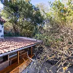 Mountain Chalet Tenerife North Summa Haus