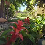 Charming House In San Cristobal De La Laguna With A Shared Pool