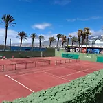 Under The Palm