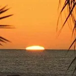 Ocean View 530