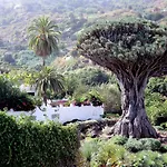 El Rincón with Teide View III