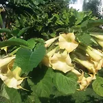 Finca Las Palmeras