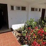 Oasi 1