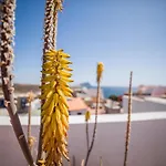 Plaza Vista Mar Dos