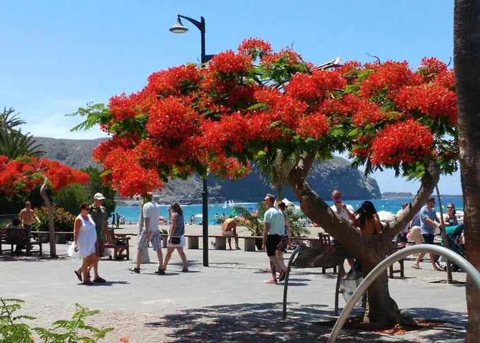 Playa De Los Cristianos Casa Adriano