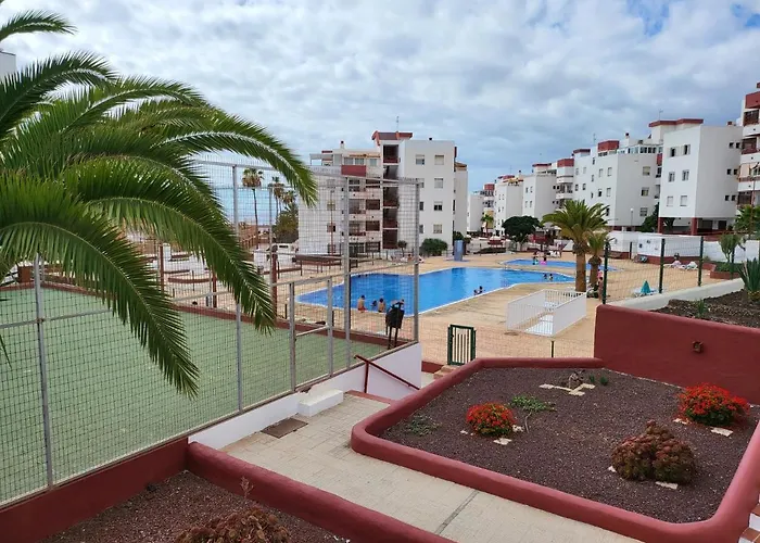 Palmeras Del Sur