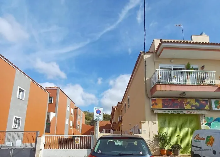 Vane Sauzal