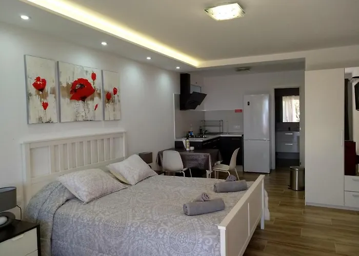 Modern Seaview Studio