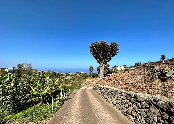 Finca Oscar Burchard