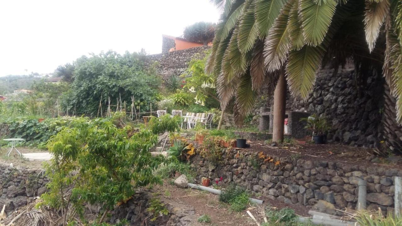 Casa rural Casa Ida Garachico (Tenerife)