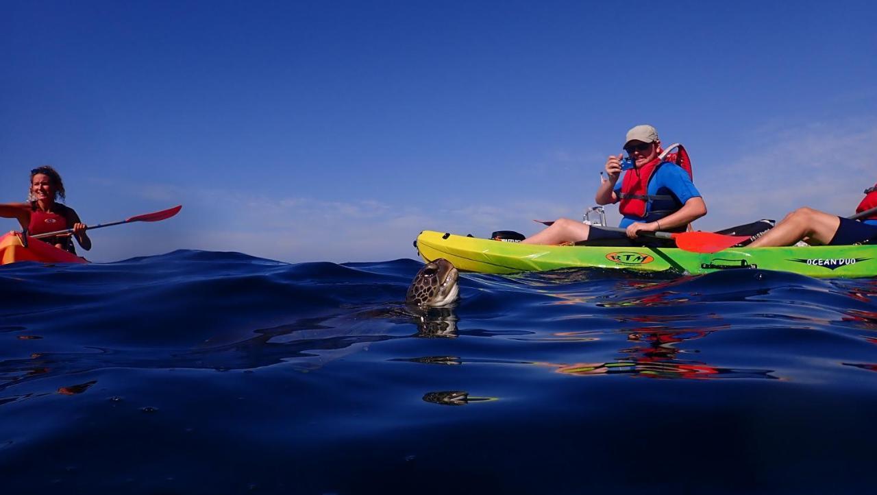 Auberge de jeunesse Adventure House Tenerife *