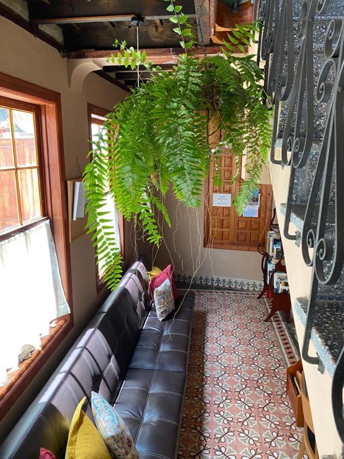 Casa Emblematica Buenavista Del Norte Bed & Breakfast