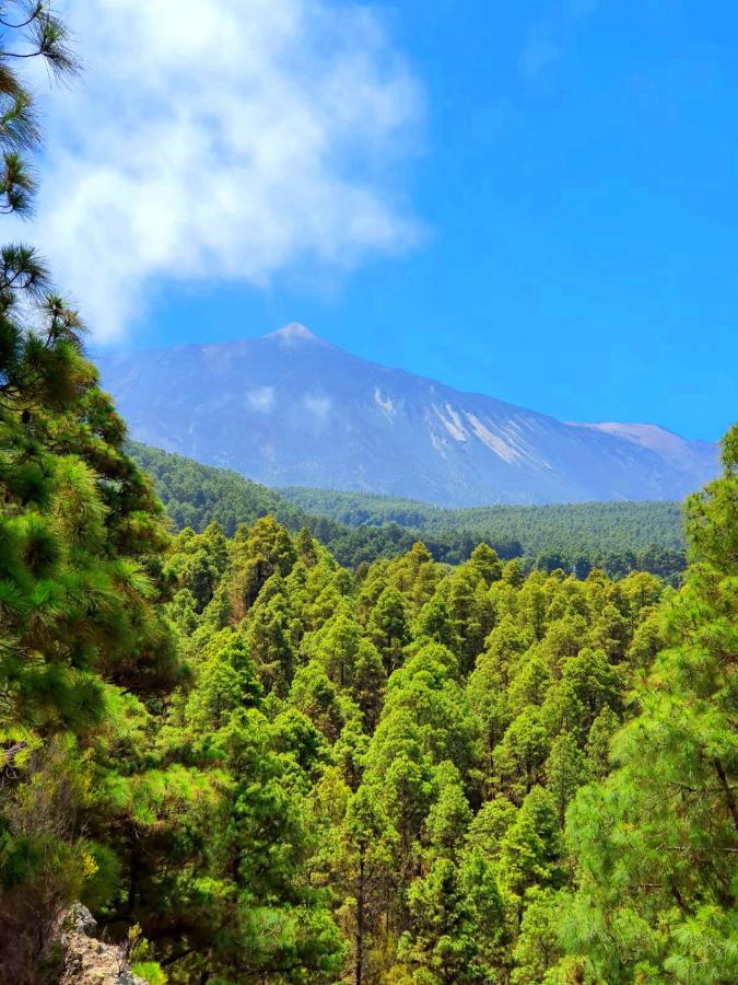 Country house Monte Frio De Tenerife La Guancha