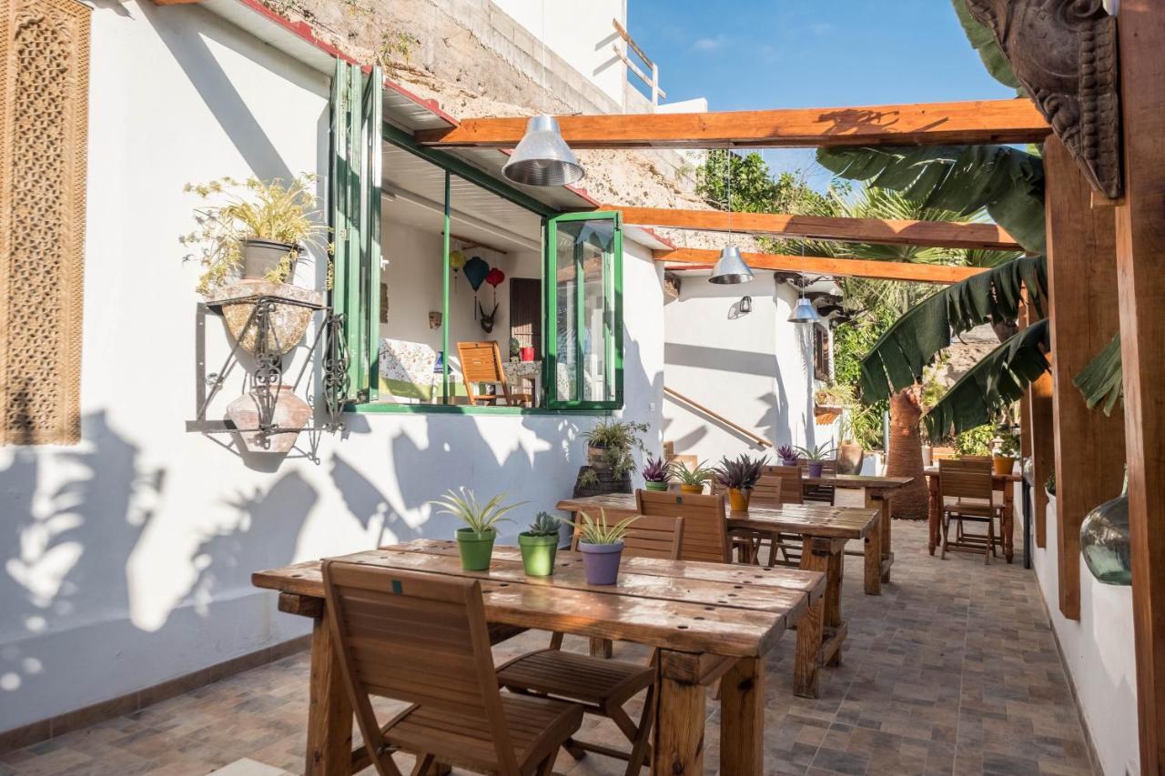 Casa Cardón - Perenquén *