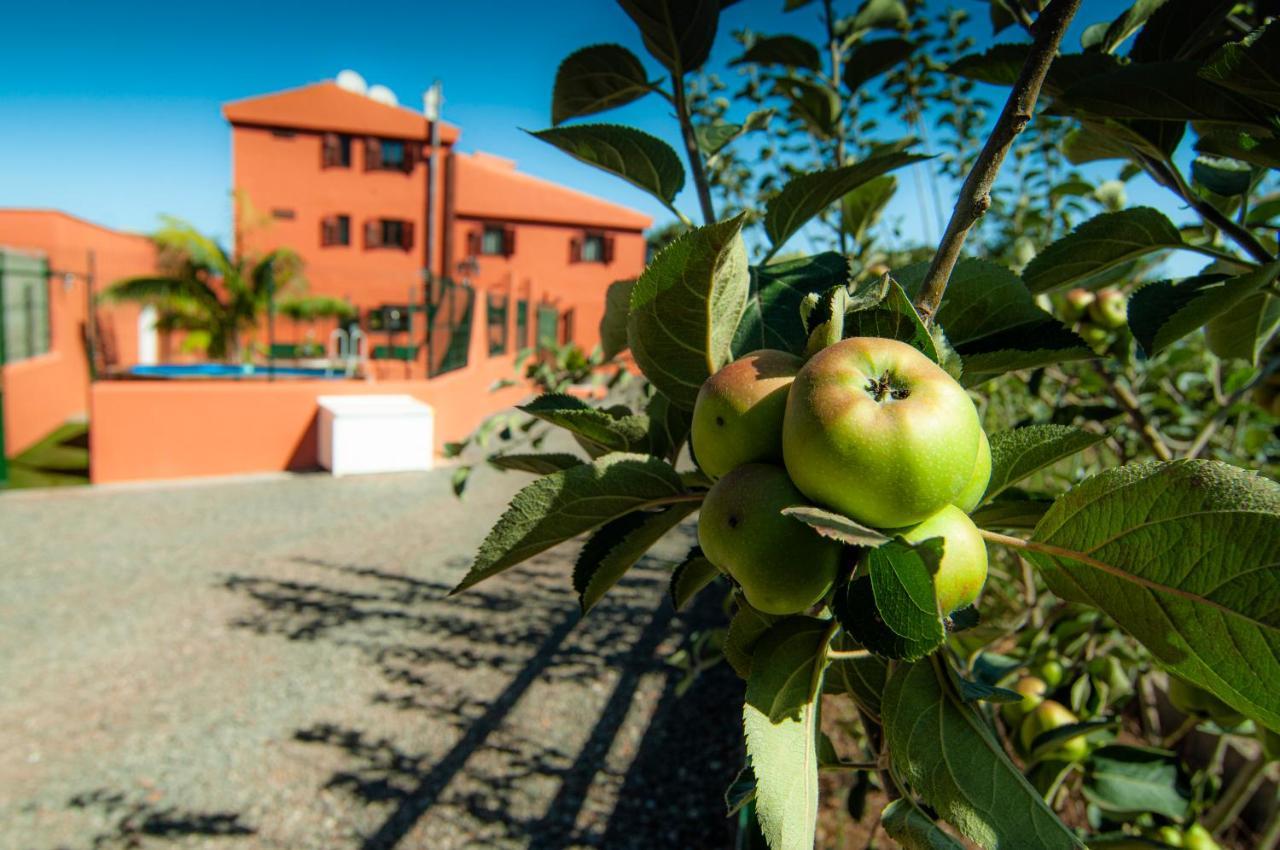 El Pastel Country house Tacoronte