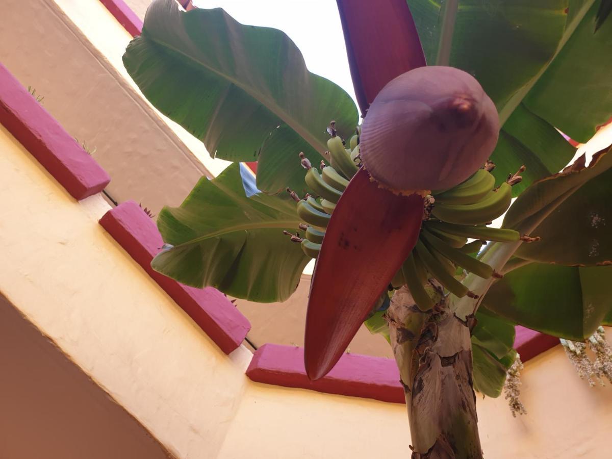 Marino Tenerife Appart hôtel 4*