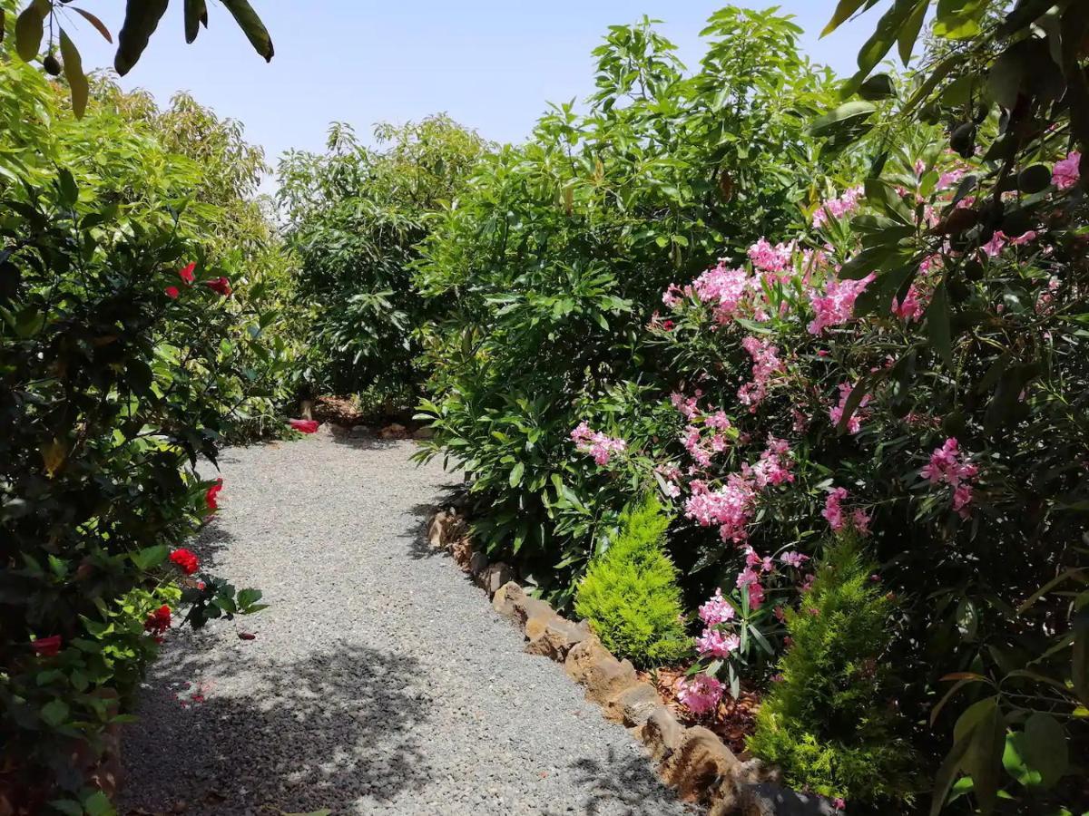 Bougainville Сasa de vacaciones La Orotava