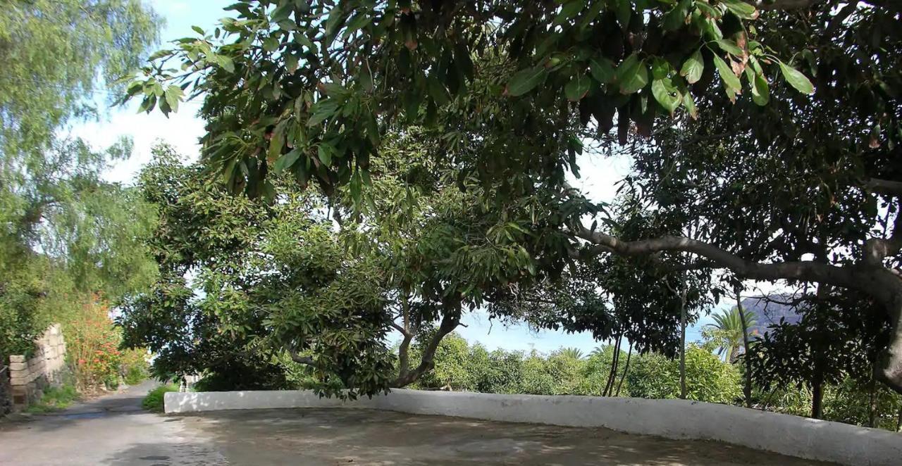 Сasa de vacaciones Bougainville