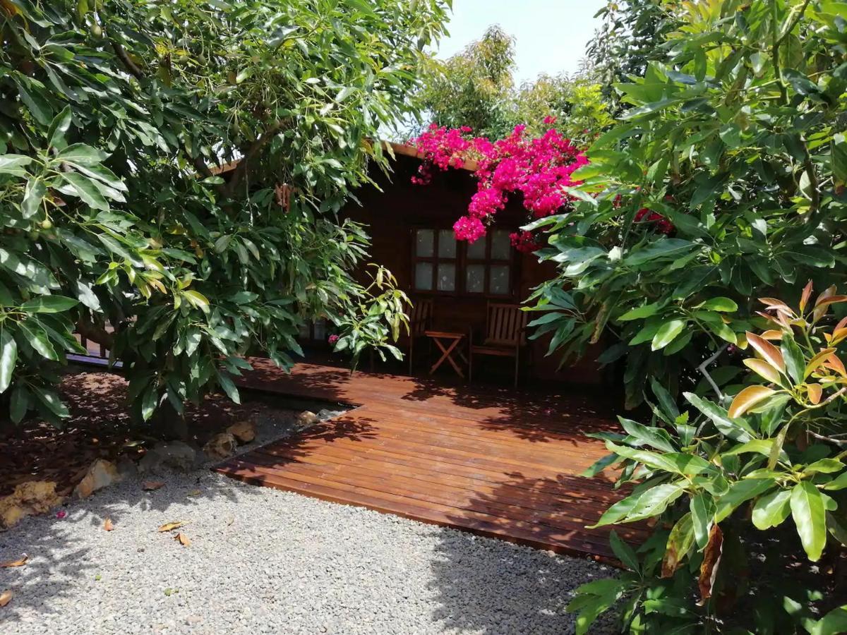 Сasa de vacaciones Bougainville *
