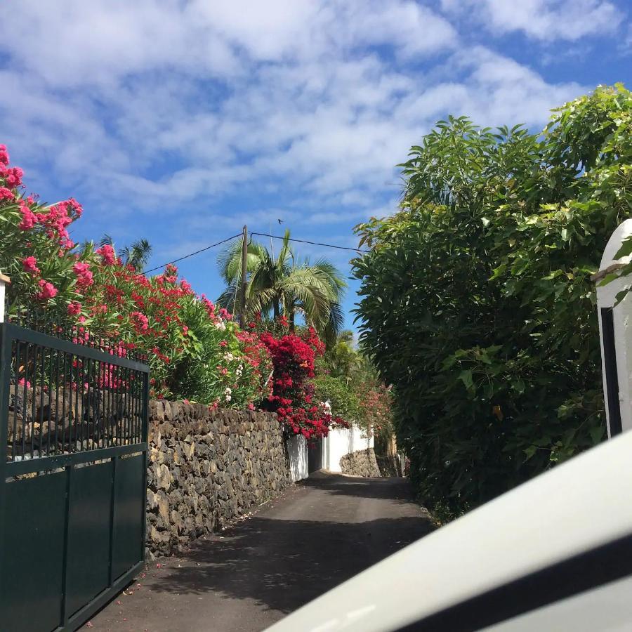 Bougainville