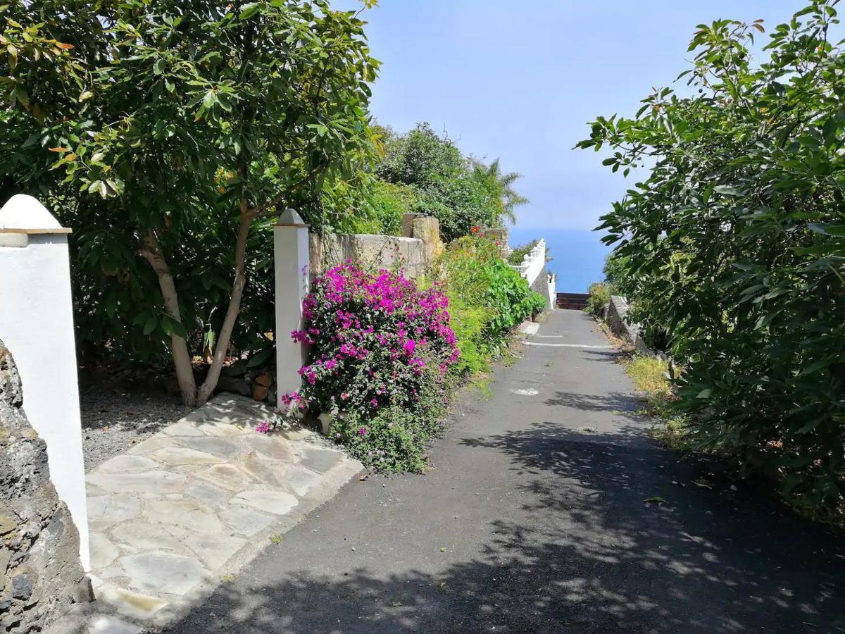 Bougainville *