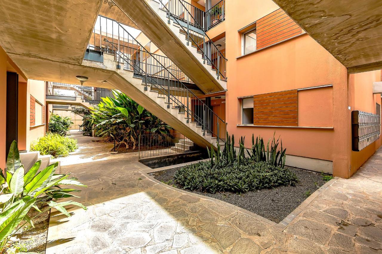 Strelitzia Park San Miguel de Abona