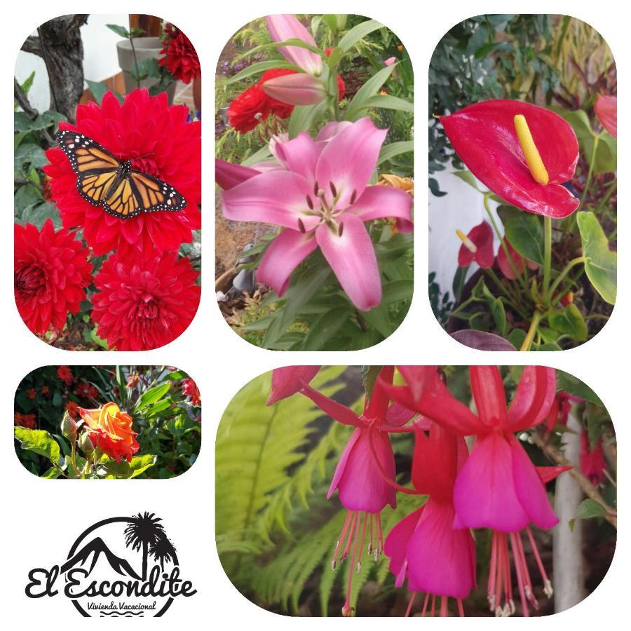 Elescondite Lodge *