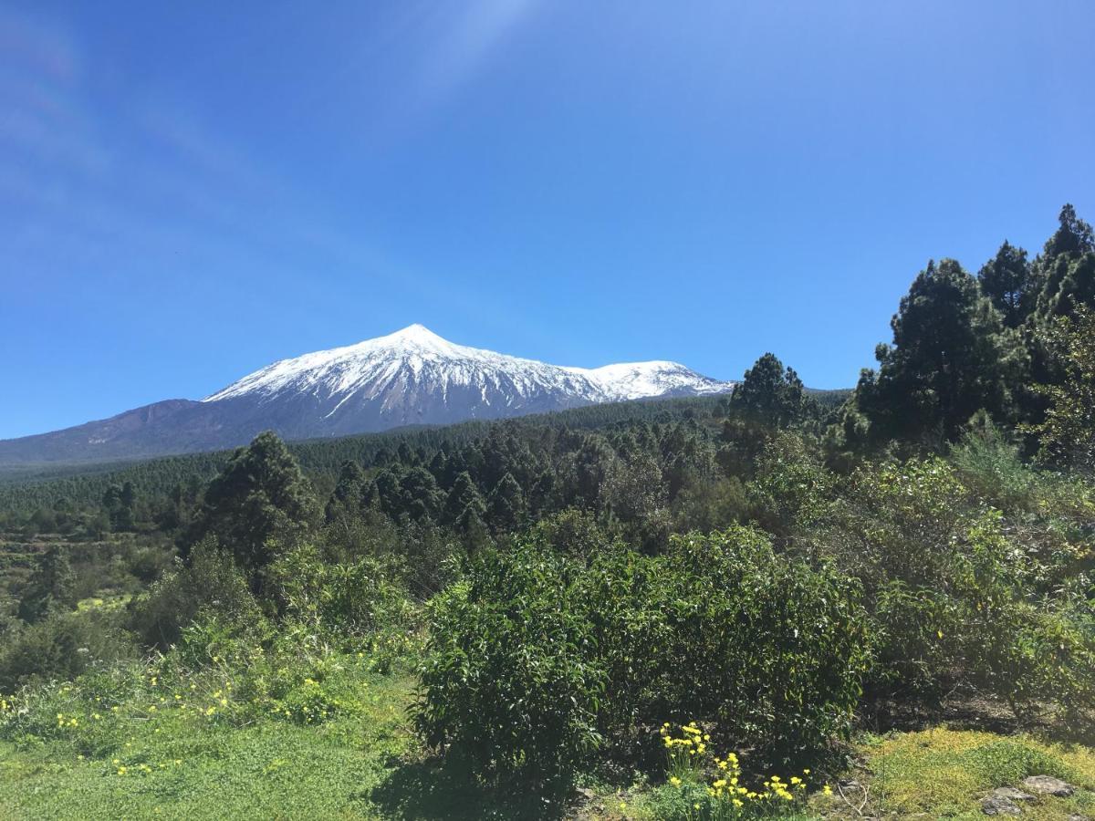 Finca La Chirita Сasa de vacaciones