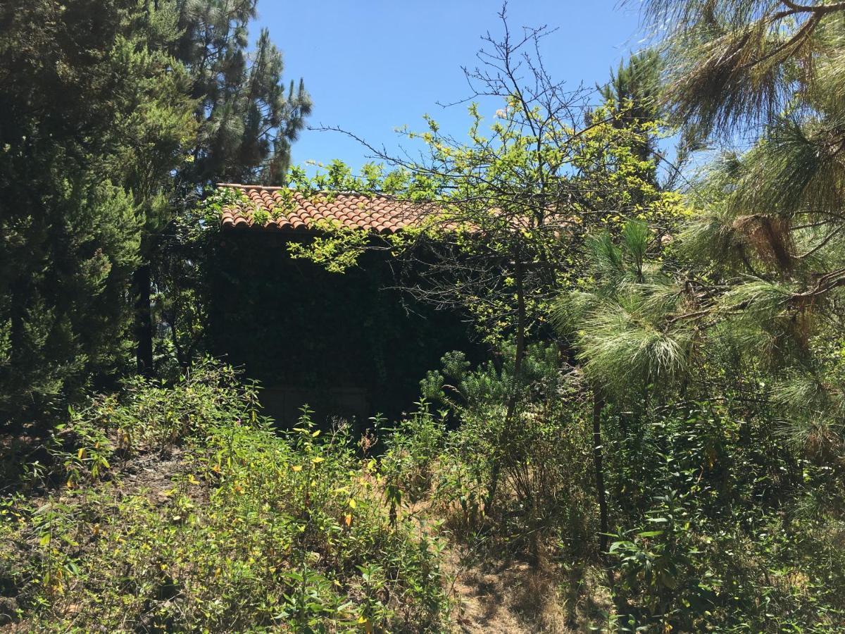 Finca La Chirita Сasa de vacaciones Icod De Los Vinos