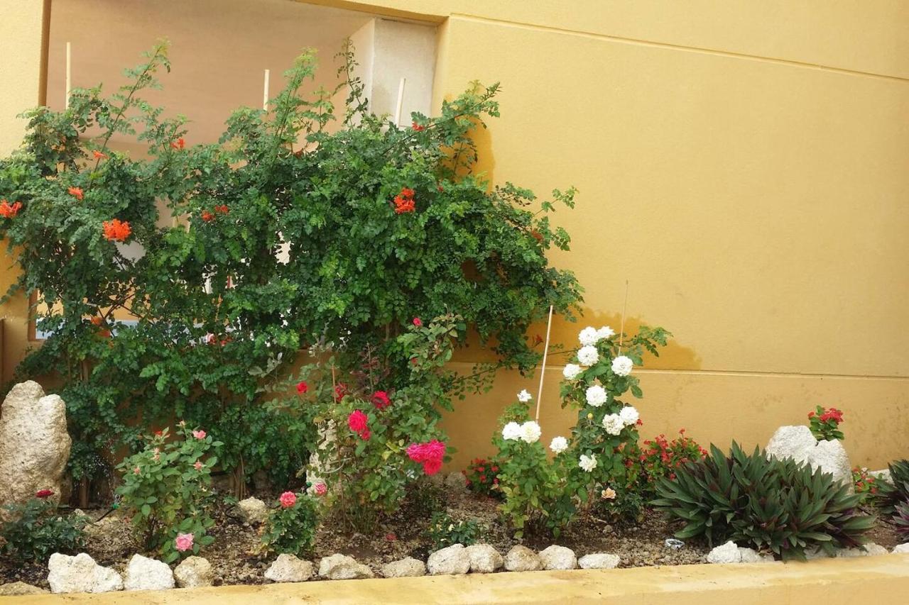 431 - Edif Aguamarina - Vacation In The Coast Line Of Golf Del Sur