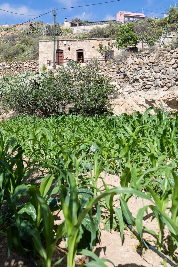 Eco Holidays House Raices Holiday home