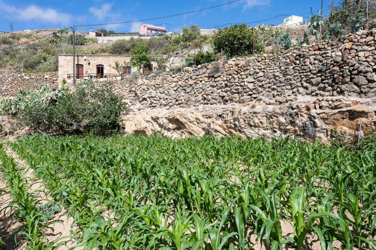 Eco Holidays House Raices Fasnia
