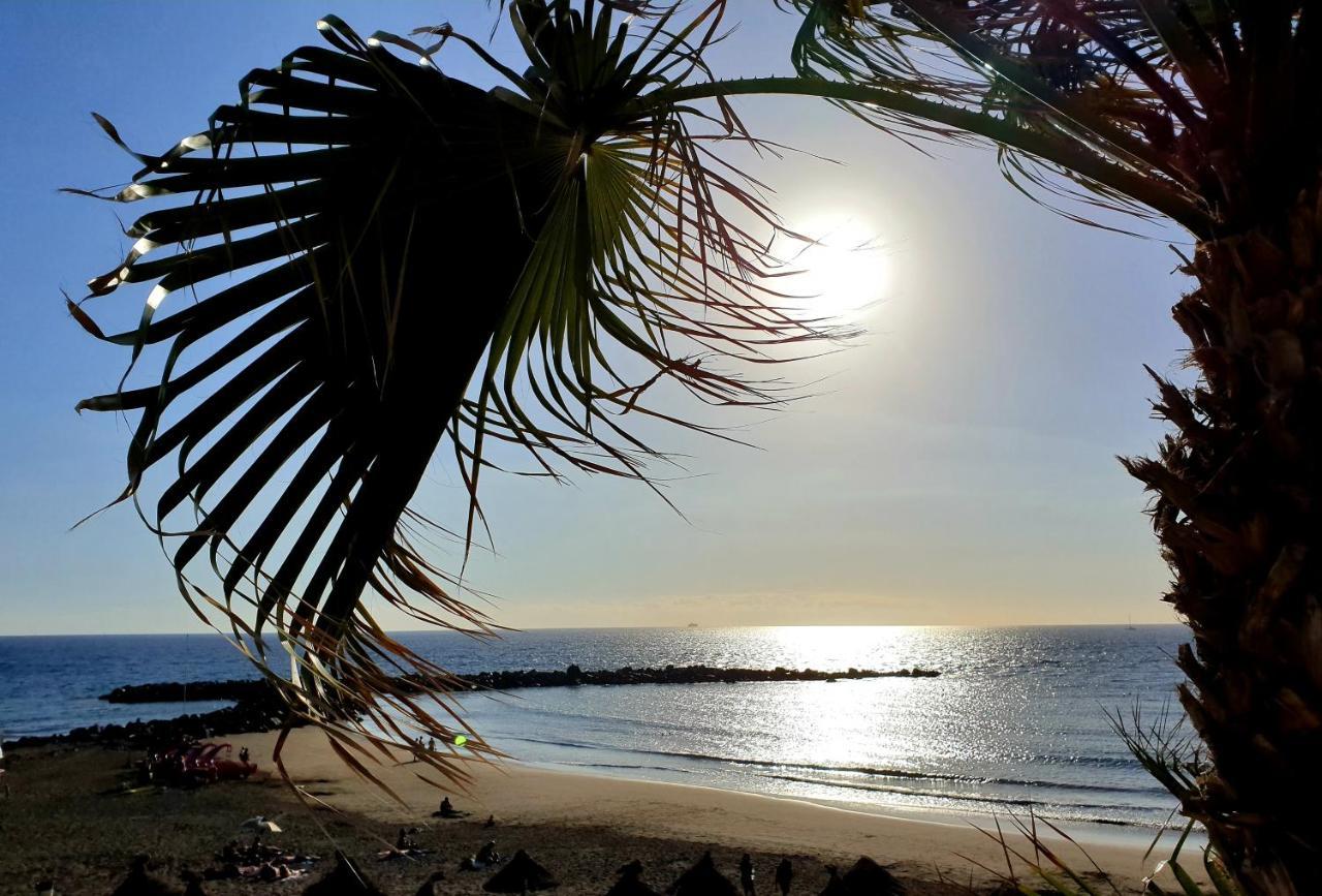 Parque Royal Torviscas Playa Wi-fi 600mb Costa Adeje (Tenerife)