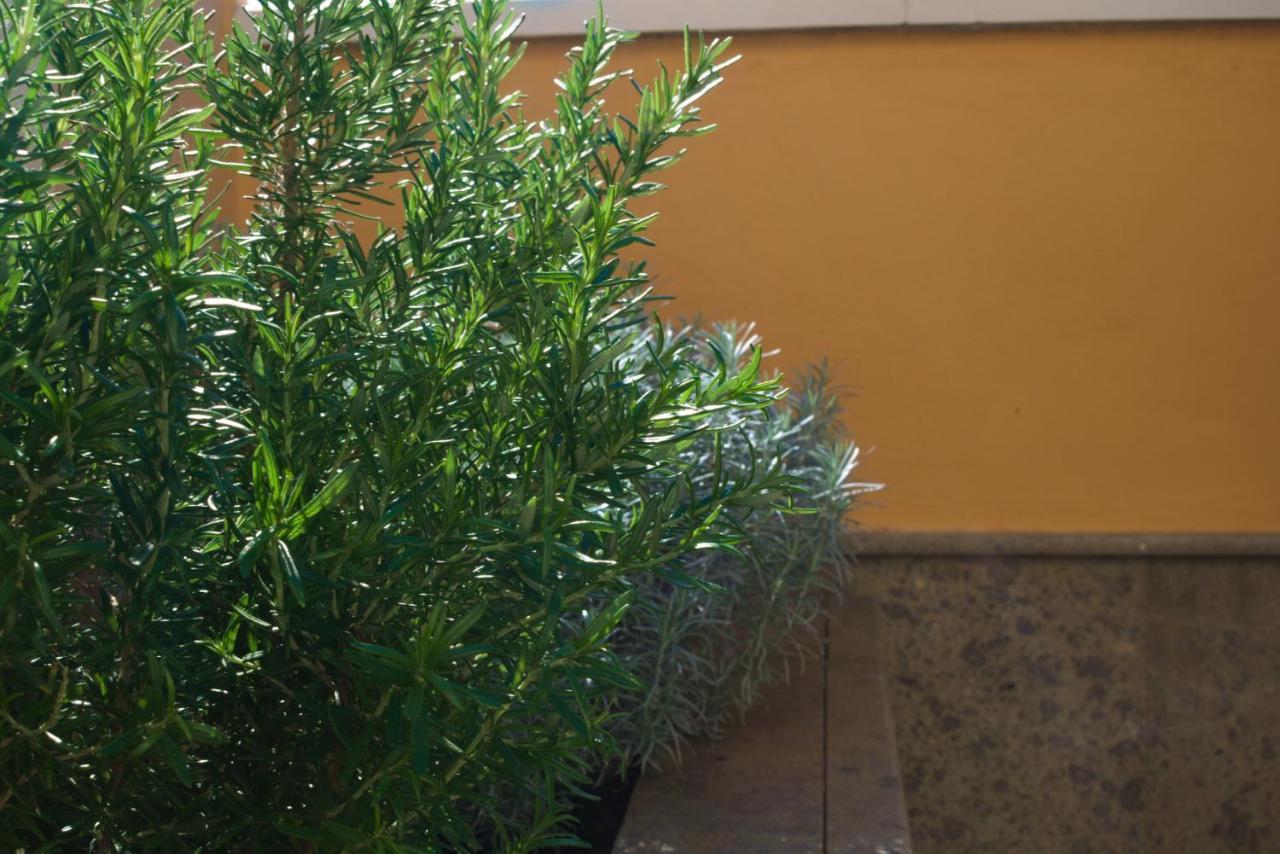 Apartment Lujoso Y Moderno Duplex Con Fantastica Terraza *
