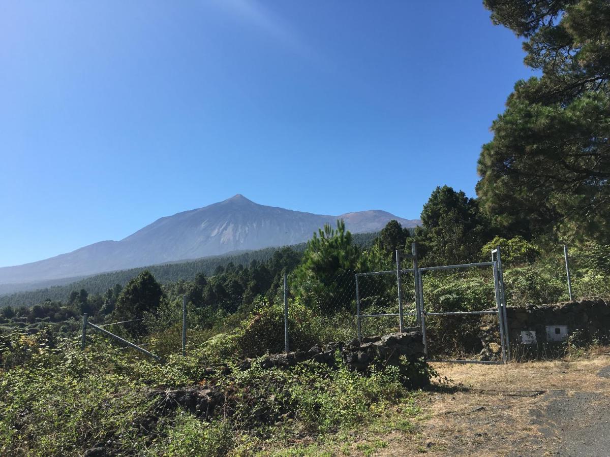 Finca La Chirita * Icod De Los Vinos