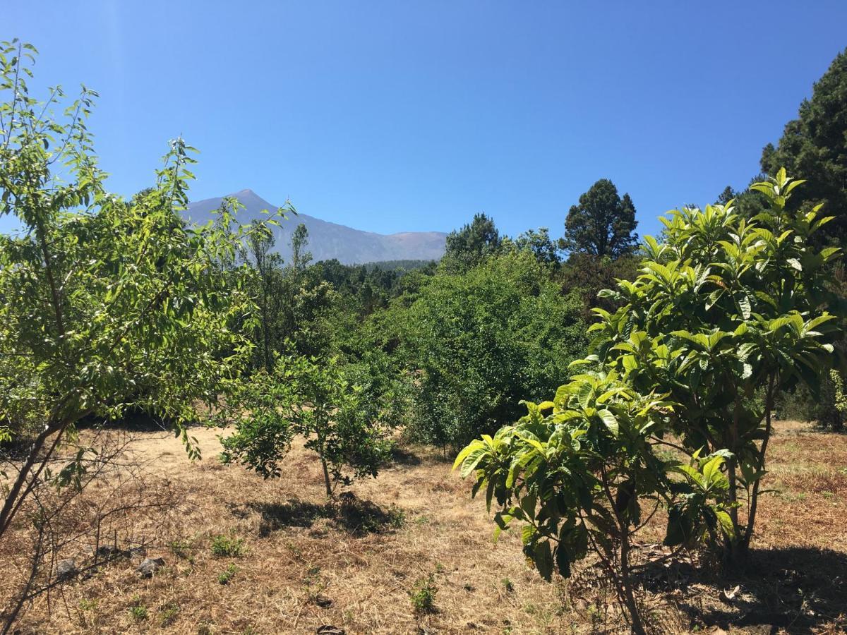 Finca La Chirita Сasa de vacaciones Icod De Los Vinos