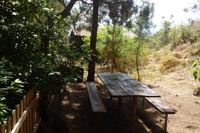 Finca La Chirita *