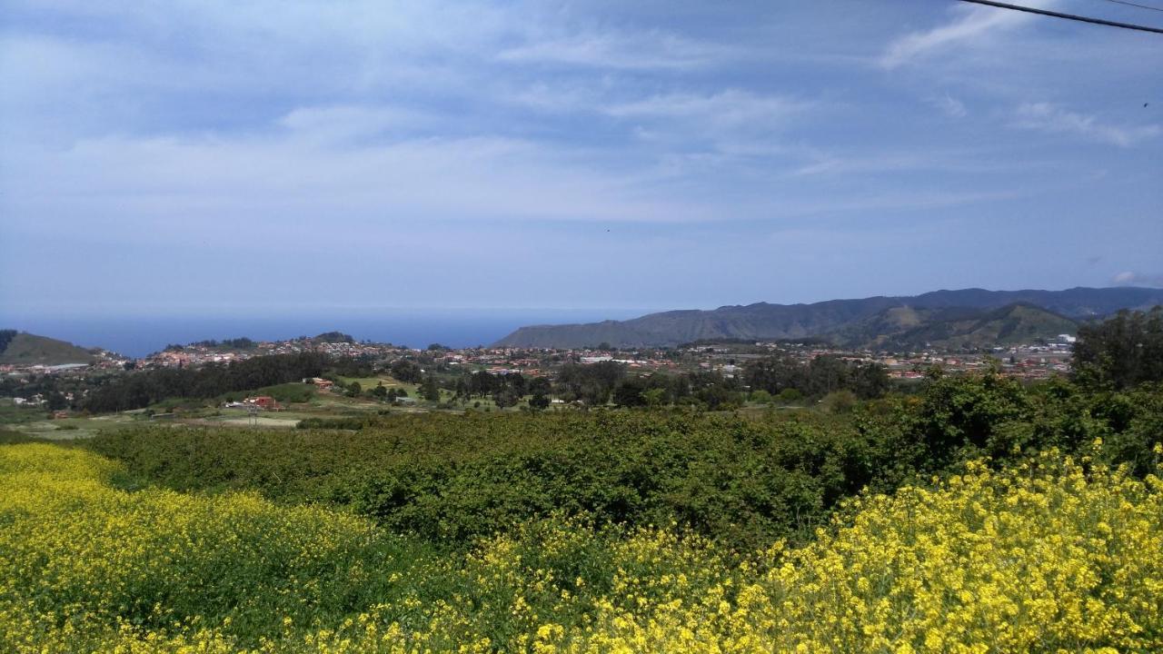 Apartment Privado: Tranquilo Oasis Cerca Del Aeropuerto Tf Norte La Laguna (Tenerife)