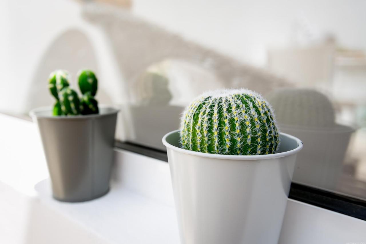 Cactus Apartment *