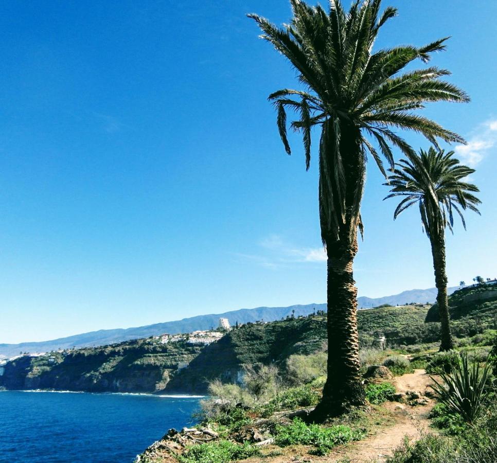 La Pardela Oceanfront Appartement *