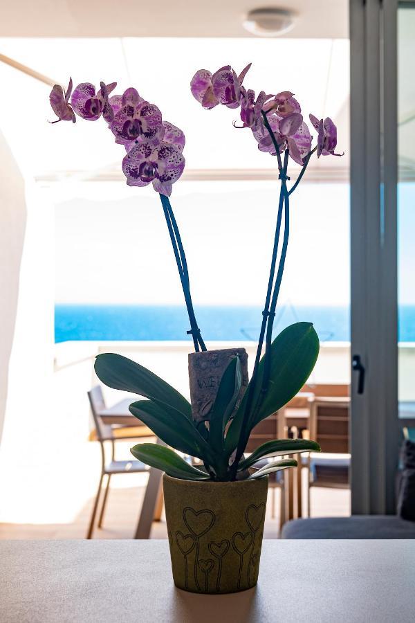 Wonderful In Paradise Apartment