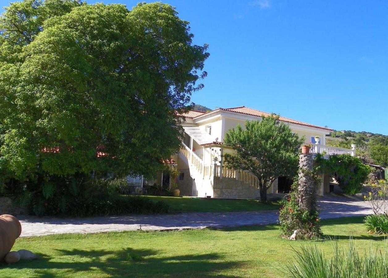 Casa-palo-pique Apartment Icod De Los Vinos