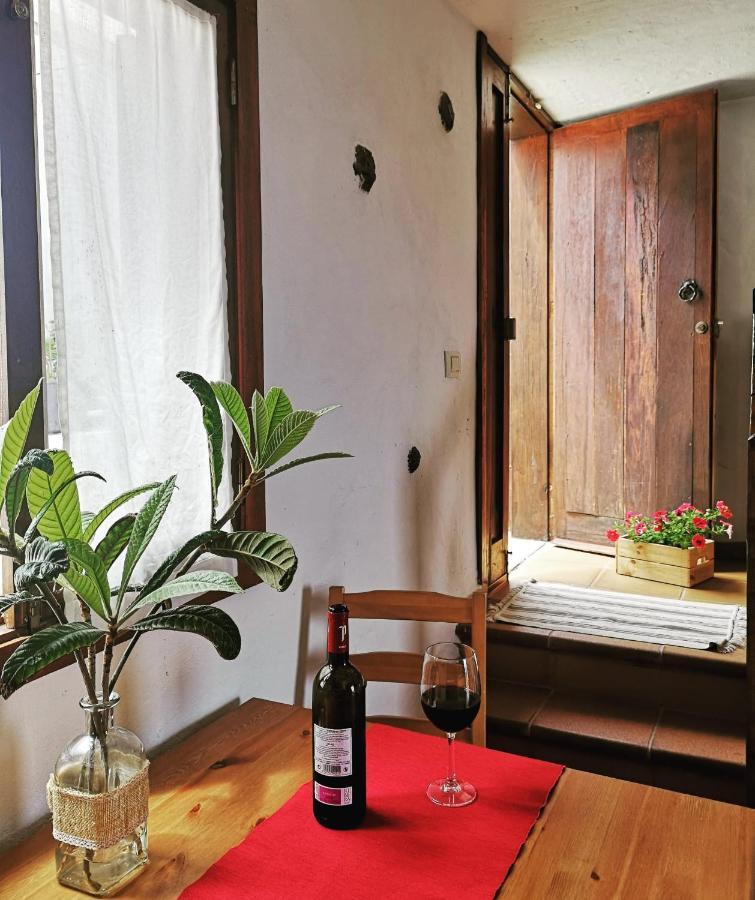 Vina Camello Holiday home *
