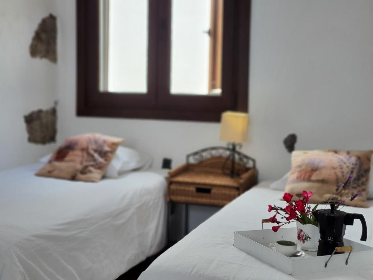 Vina Camello Holiday home